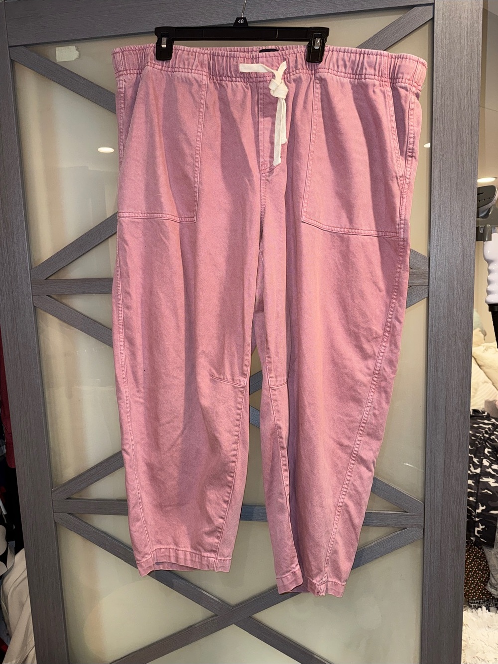 GAP Rose Pink Barrel Pull On Drawstring Waist Pants